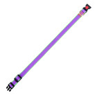 Ошейник капроновый, фастекс с замком, 50×2 см, ОШ до 50 см, фиолетовый с зелёным - фото 21254311