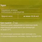 Укроп плоды, 20 фильтр пакетов по 1.5 г - Фото 4