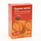 Красная щетка корневища с корнями, 30 г - Фото 1