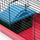 Клетка-мини для грызунов "Пижон" №1, укомплектованная, 27х15х13 см, рубиновая - Фото 5