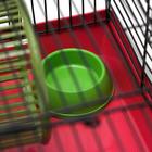 Клетка-мини для грызунов "Пижон" №1, укомплектованная, 27х15х13 см, рубиновая - Фото 7