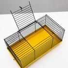 Клетка-мини для грызунов "Пижон" №1-1, без наполнения, 27 х 15 х 13 см, жёлтая - Фото 6