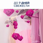 Концентрированный кондиционер для белья Lenor, Haute Couture La Passionnee, 910 мл - Фото 4