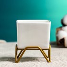 Горшок для цветов «Куб», 100 мл, 5.4×5.1×3.7 см, керамический, на золотистой металлической подставке, белый - Фото 2