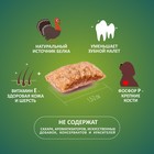 Подушечки глазированные TitBit «Золотая коллекция» для собак, с начинкой из индейки, 100 г - Фото 2