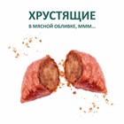 Подушечки глазированные TitBit «Золотая коллекция» для собак, с начинкой из телятины, 100 г - Фото 2