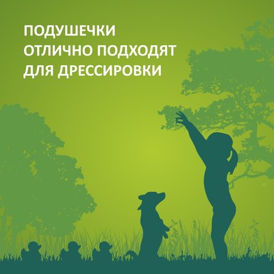 Подушечки глазированные TitBit «Золотая коллекция» для собак, с начинкой из телятины, 100 г