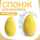 Спонж для нанесения косметики «Манго», 7,1 × 4,2 см, увеличивается при намокании, цвет жёлтый - Фото 1