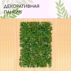 Декоративная панель, 60 × 40 см, «Мокрица», Greengo 6869838 - фото 23290539