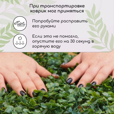Декоративная панель, 60×40 см, «Мокрица», Greengo