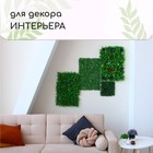 Декоративная панель, 60 × 40 см, «Мокрица», Greengo - фото 7271900