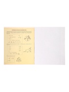 Предметная тетрадь по геометрии Calligrata «СуперНеон», 48 листов, в клетку, со справочным материалом, обложка из мелованного картона - Фото 5