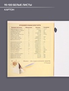 Предметная тетрадь по физике Calligrata «СуперНеон», 48 листов, в клетку, со справочным материалом, обложка из мелованного картона - Фото 2