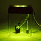 Аквариум куб в комплекте с биологическим фильтром, бесшумным компрессором и светильником LED, 5 л - Фото 16