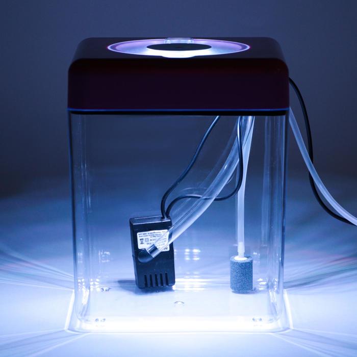 Аквариум куб в комплекте с биологическим фильтром, бесшумным компрессором и светильником LED, 5 л - Фото 1