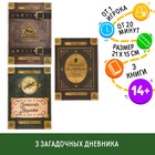 Книги квест - игры «Дневники», набор 3 шт., 14+ - Фото 1