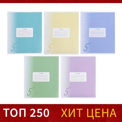 Тетрадь 12 листов линейку Calligrata «Пятёрка», обложка мелованный картон, МИКС