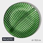 Тарелка стеклянная Magistro «Папоротник», 19,5×19,5×1,5 см, цвет зелёный - фото 9645520