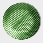 Тарелка стеклянная Magistro «Папоротник», 19,5×19,5×1,5 см, цвет зелёный - фото 4324207