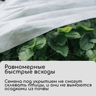 Материал укрывной, 20 × 1.6 м, плотность 20 г/м², спанбонд с УФ-стабилизатором, белый, Greengo, Эконом 30% - Фото 4