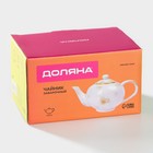 Заварочный чайник Доляна Organic Gold, 650 мл, фарфор, белый - Фото 11