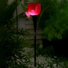 Садовый светильник на солнечной батарее «Тюльпан красный», 4.5 × 29 × 4.5 см, 1 LED, свечение белое - Фото 2