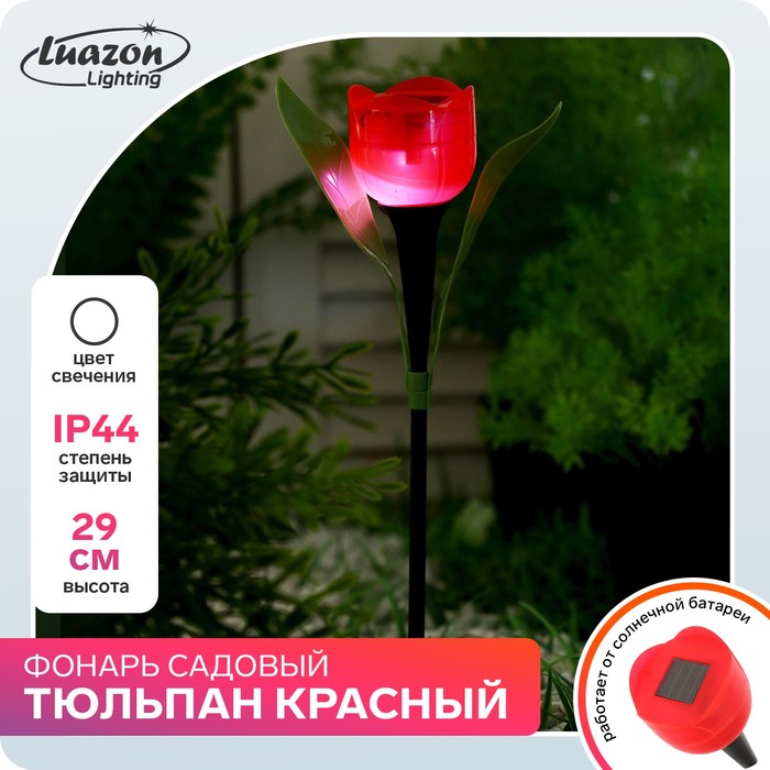Садовый светильник на солнечной батарее «Тюльпан красный», 4.5 × 29 × 4.5 см, 1 LED, свечение белое