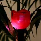 Садовый светильник на солнечной батарее «Тюльпан красный», 4.5 × 29 × 4.5 см, 1 LED, свечение белое - Фото 8