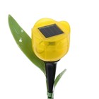 Садовый светильник на солнечной батарее «Тюльпан жёлтый», 4.5 × 29 × 4.5 см, 1 LED, свечение белое - Фото 5