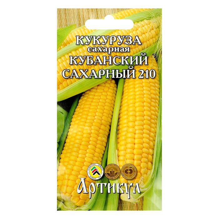 Семена Кукуруза сахарная "Кубанский Сахарный 210", цв.пакет, 8 г - Фото 1
