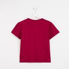 Футболка женская однотонная, цвет бордовый, размер 54 - Фото 3