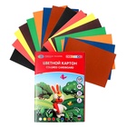 Картон цветной «ЗХК. Цветик», А4, 16 листов, 8 цветов, немелованный, МИКС - Фото 5