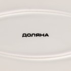 Блюдо фарфоровое Доляна «Млечный путь», 29,5×17,5 см, цвет белый в крапинку - Фото 5