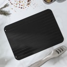 Доска разделочная Доляна, 29.5×20.5×0.2 см, для разморозки продуктов, металл, чёрная - Фото 2