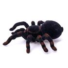 УЦЕНКА (помята упаковка) Паук радиоуправляемый «Тарантул», работает от батареек, световые эффекты 6889798