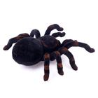 УЦЕНКА (помята упаковка) Паук радиоуправляемый «Тарантул», работает от батареек, световые эффекты 6889798