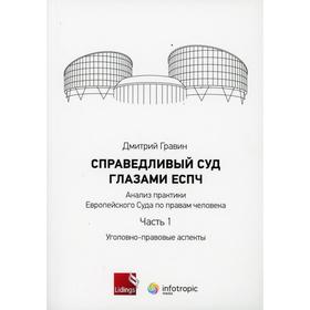 Справедливый суд глазами ЕСПЧ. Анализ практики Европейского Суда по правам человека Часть 1: Уголовно-правовые аспекты Гравин Д.