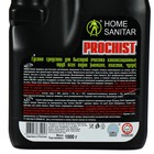 Средство для быстрой очистки канализации Home Sanitar Prochist, гель, 1 кг - Фото 2