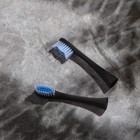 Насадка для электрической зубной щетки Luazon LP-004,  черные - Фото 3