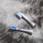 Насадка для электрической зубной щетки Luazon LP-005, белая - Фото 3