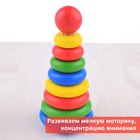 Пирамидка деревянная, 9 элементов - Фото 7