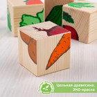 Деревянные кубики «Овощи» 4 элемента, Томик - фото 8234373