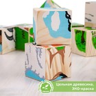 Кубики «Домашние животные», 9 элементов - Фото 2