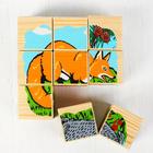 Кубики детские «Животные леса» деревянные, 9 деталей - Фото 6