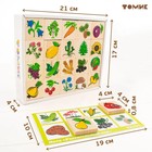 Лото «Растительный мир» - Фото 8