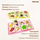 Лото «Растительный мир» - Фото 9