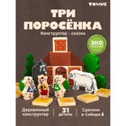 Конструктор деревянный «Сказки. Три поросёнка», 34 детали - Фото 6