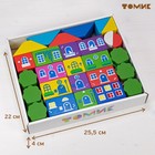 Конструктор деревянный «Цветной городок» большой, 41 деталь - Фото 4