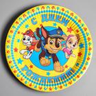 Набор бумажной посуды "С днем рождения!", команда, Щенячий патруль, на 6 персон - Фото 2