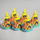 Набор бумажной посуды "С днем рождения!", команда, Щенячий патруль, на 6 персон - Фото 4